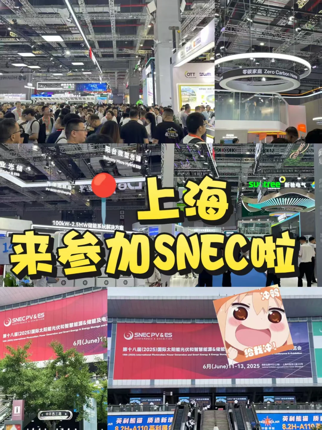 SNEC | 今年也太火爆了吧!