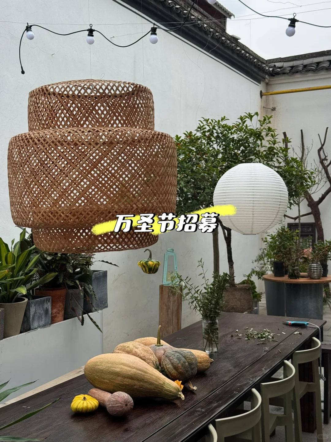 招募策划万圣节活动