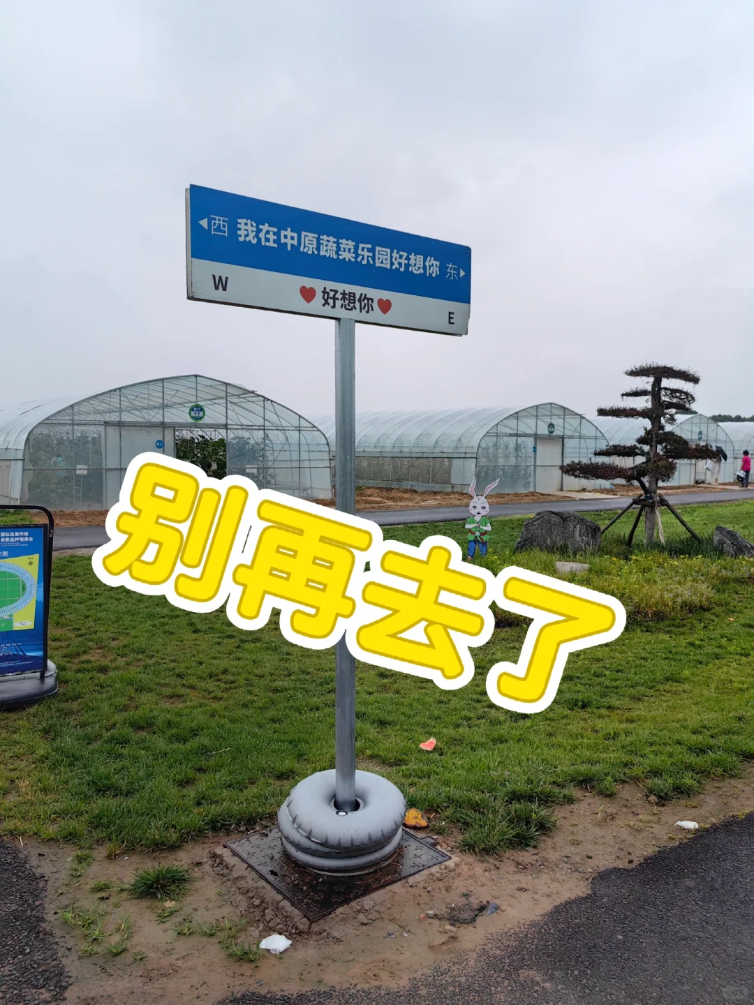 采摘别再去这里了,如果非要去