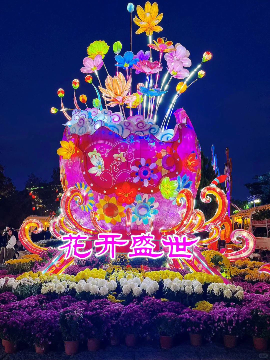 和姐妹在万岁山拍了800张菊花照…
