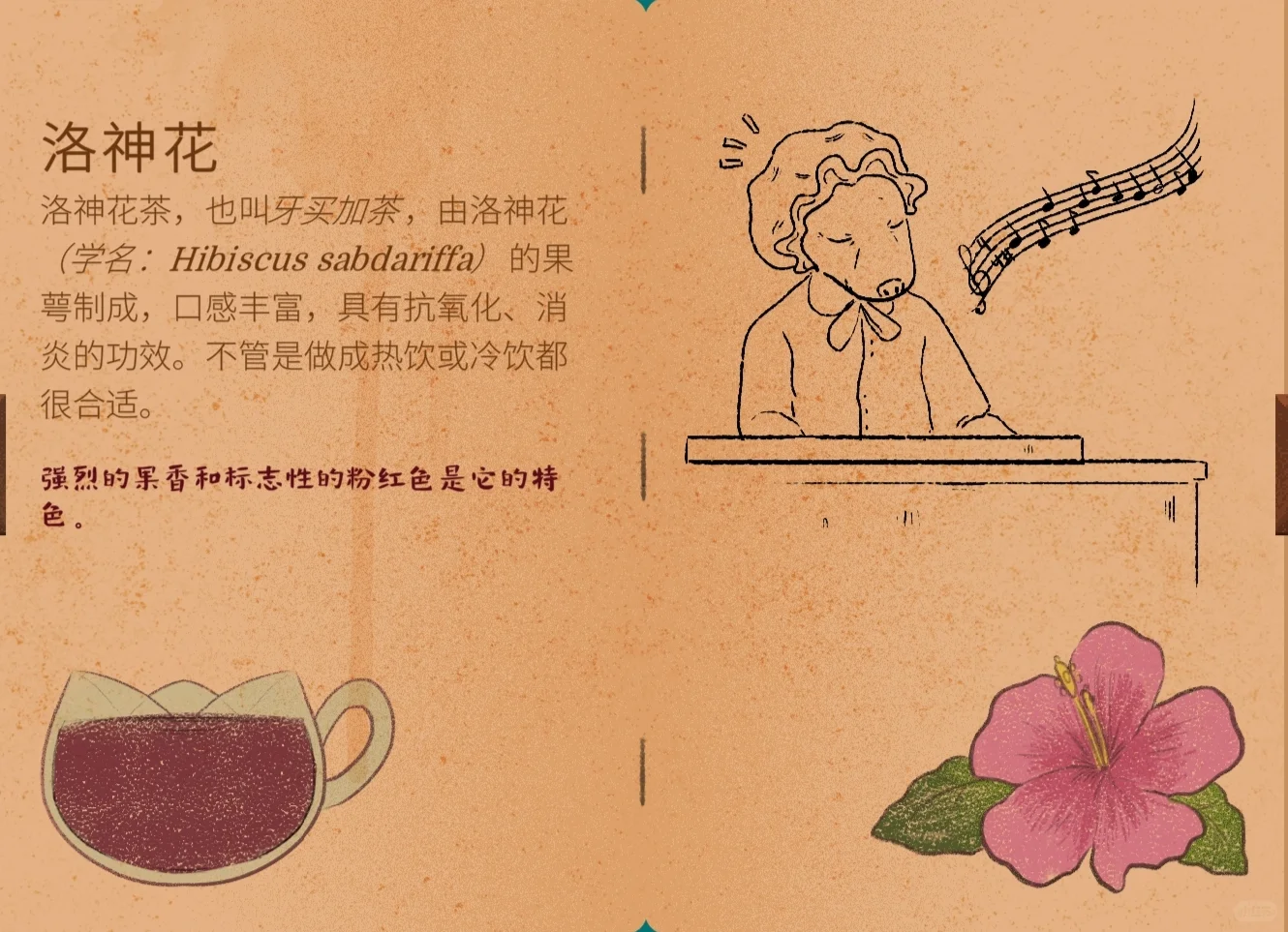 茶话会必需品！谁懂啊！?