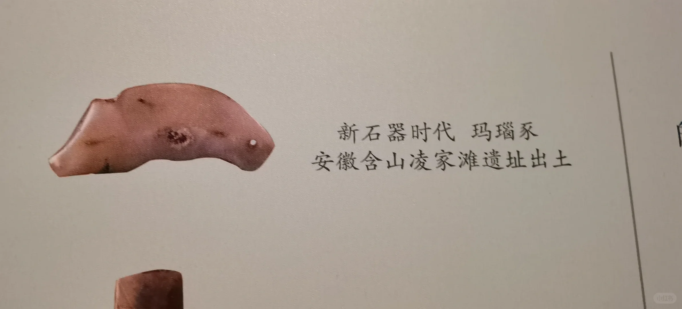 请文物专家来掌眼|博物院这个标签对吗?