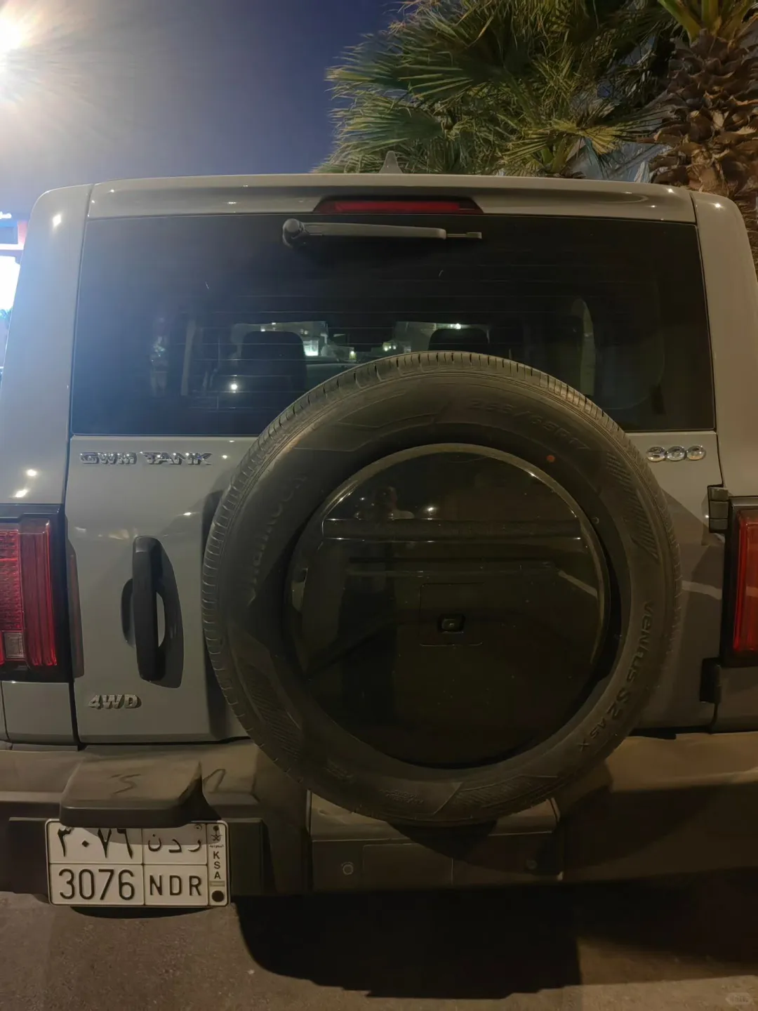 利雅得偶遇中国车