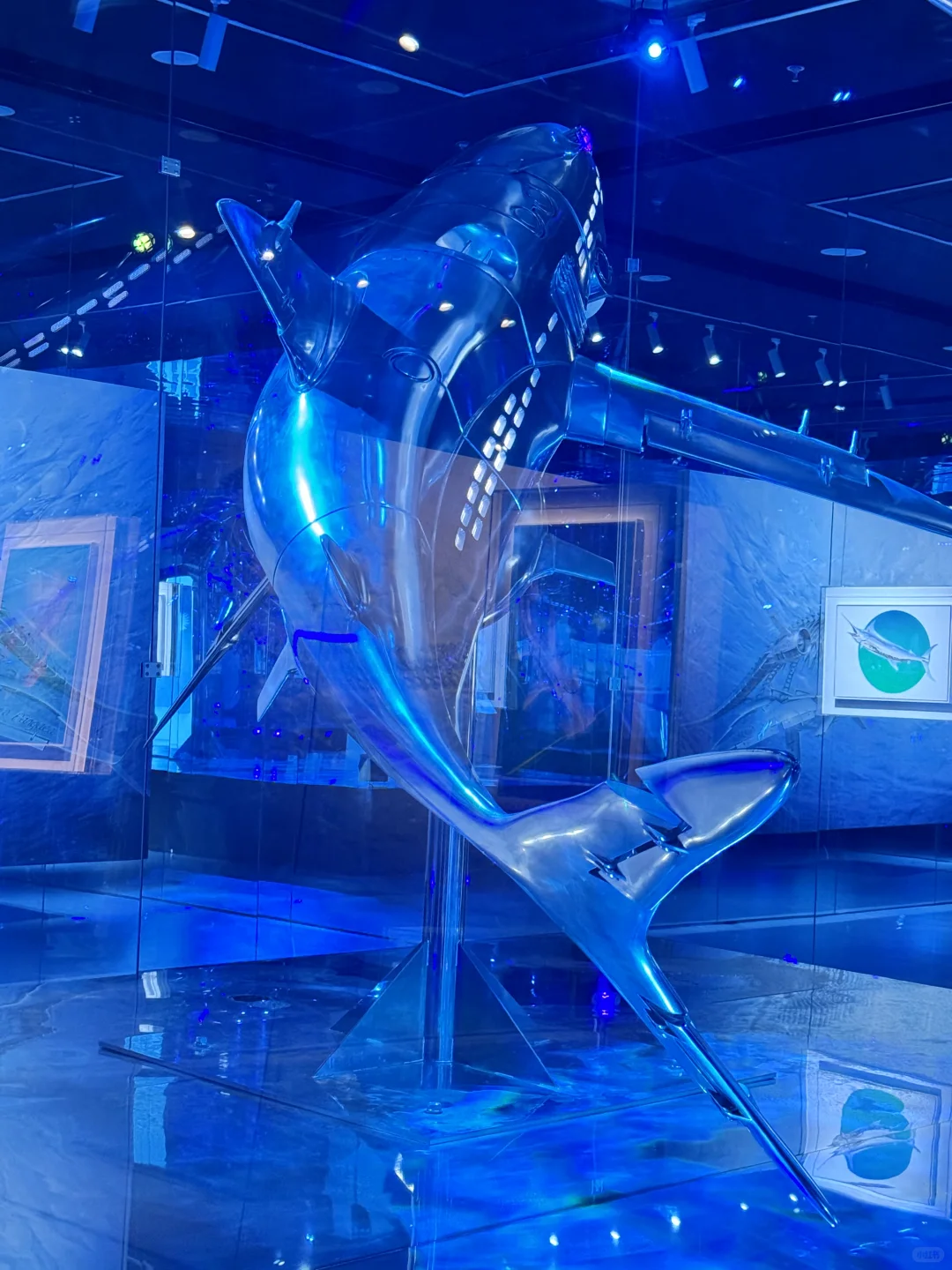 上海?跪着看完的展!当机械姬凝视人类欲望