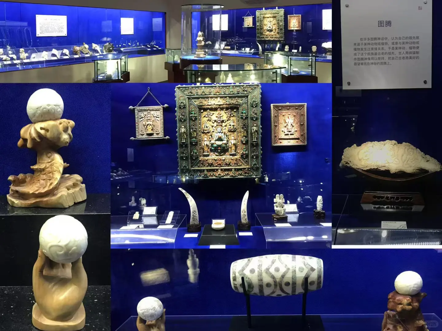 解锁郑州一个超冷门的宝藏地,郑州人嘴真严