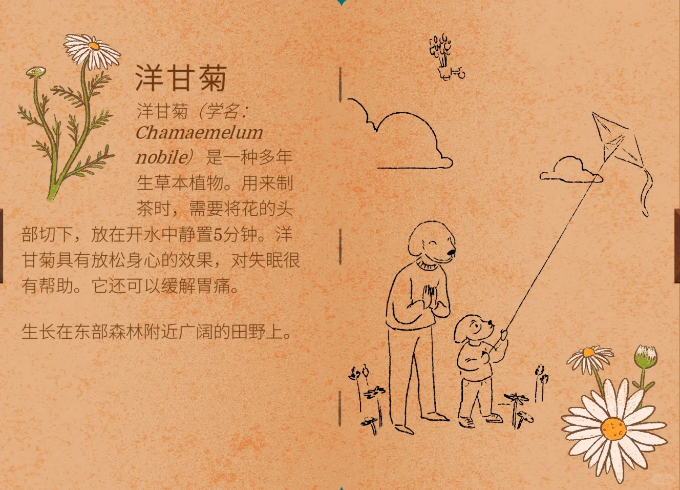 茶话会必需品！谁懂啊！?