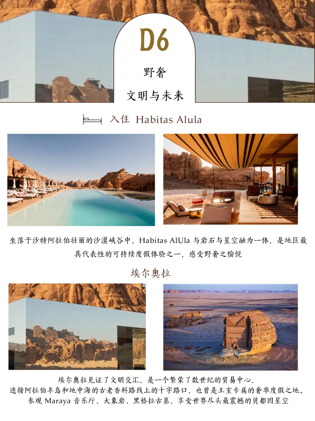 为什么二代们都开始看中东?答案在这7天里