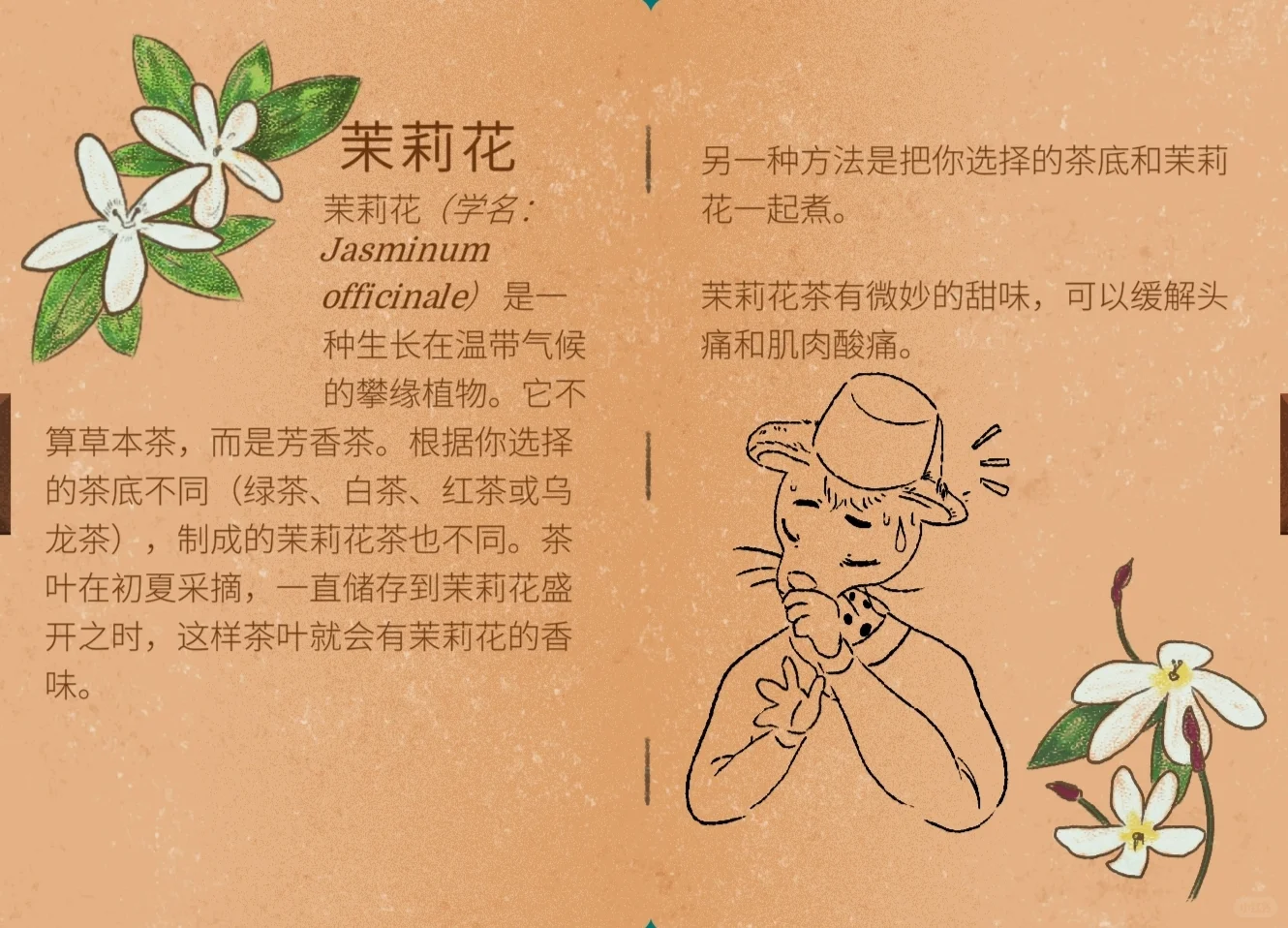 茶话会必需品！谁懂啊！?