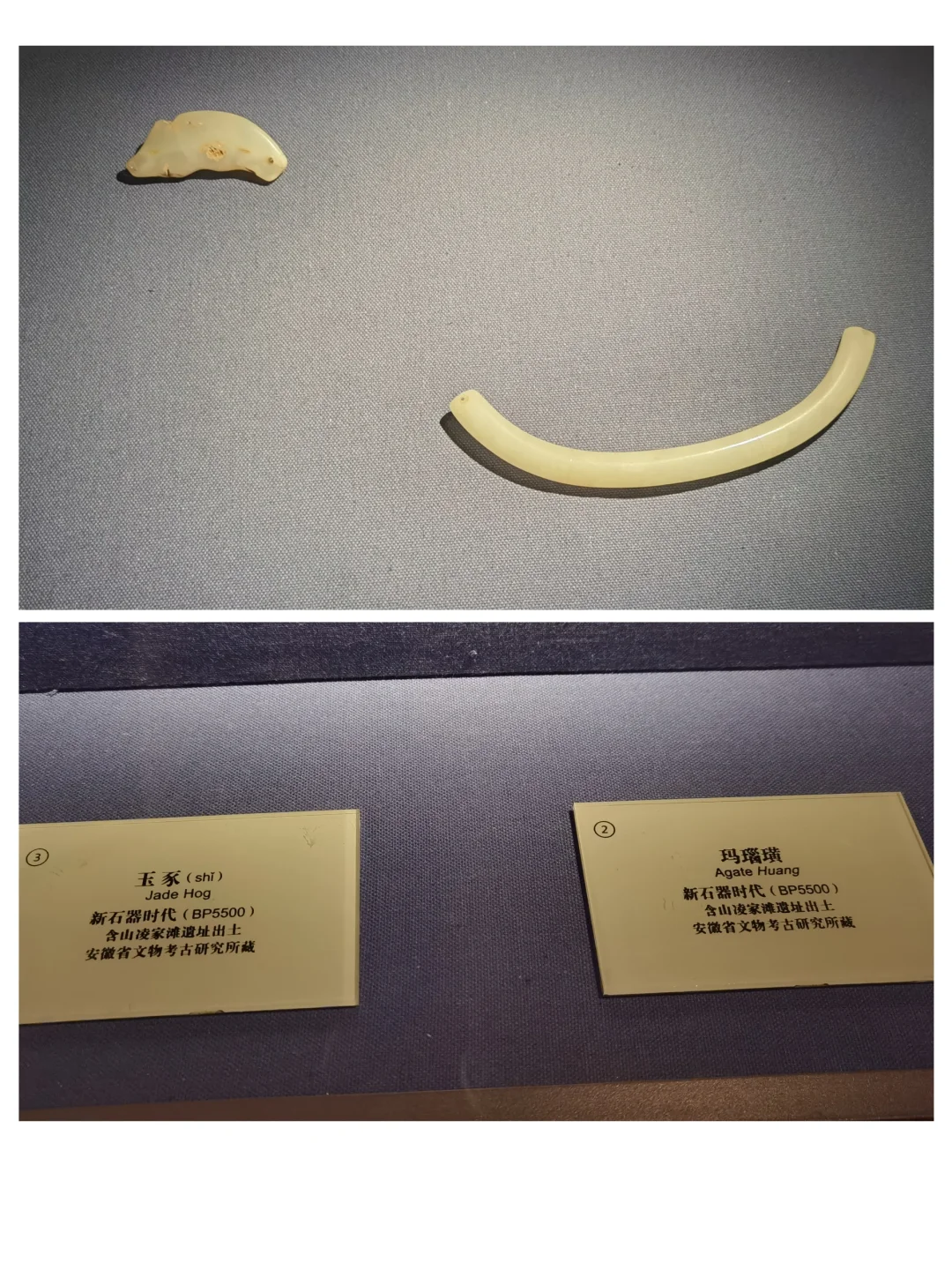 请文物专家来掌眼|博物院这个标签对吗?