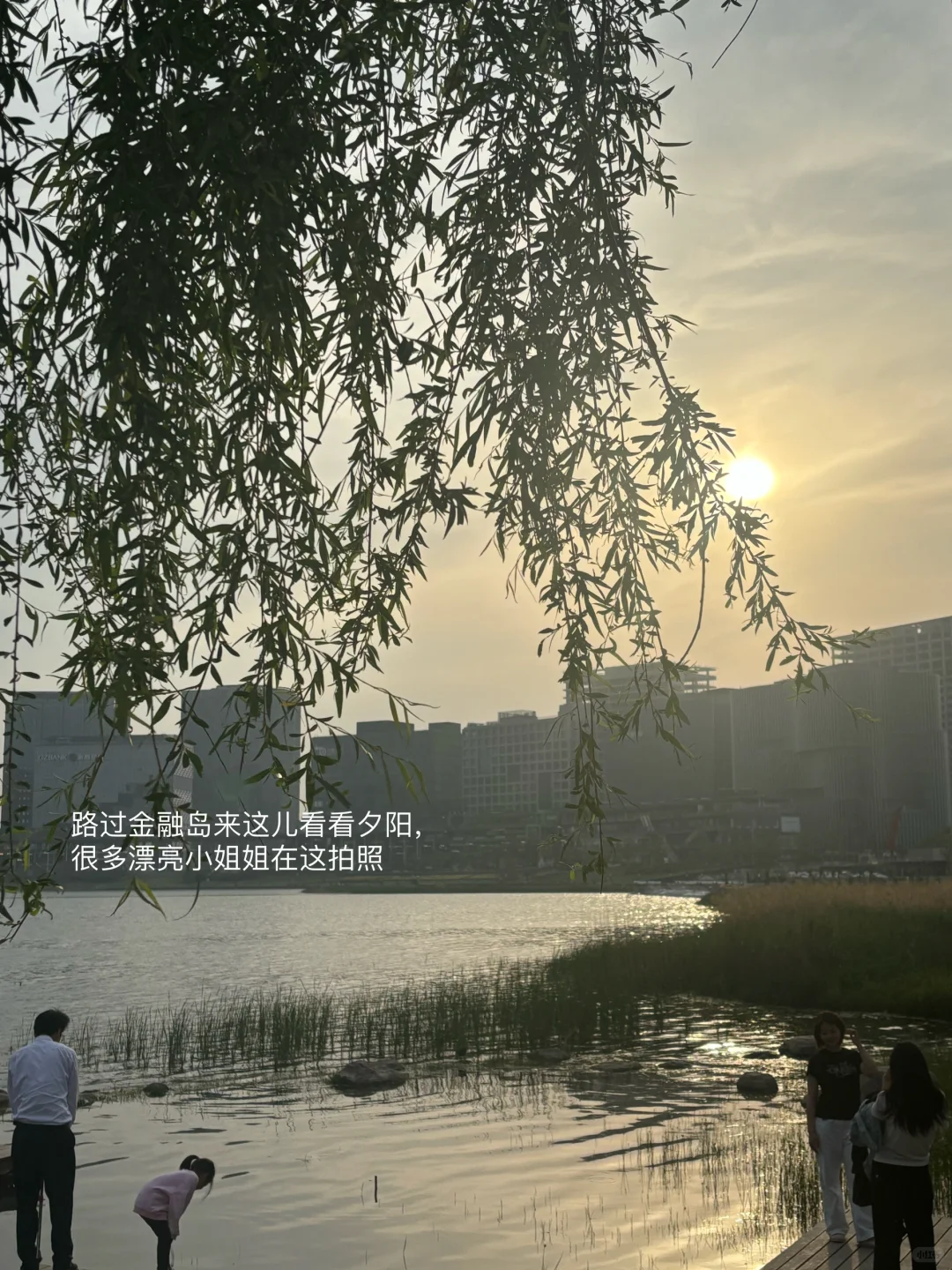 应届生｜周末充实且快乐都在干啥Plog