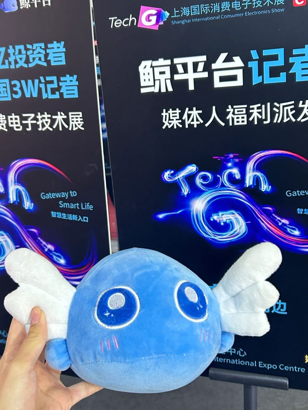 上海探展 | 国际消费电子技术展