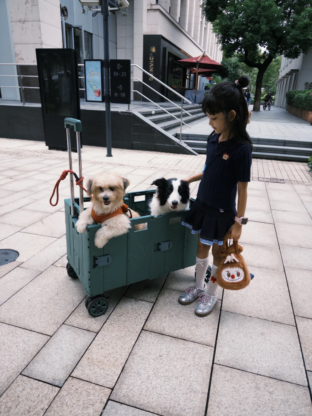 小学生的周末是女明星的工作日?