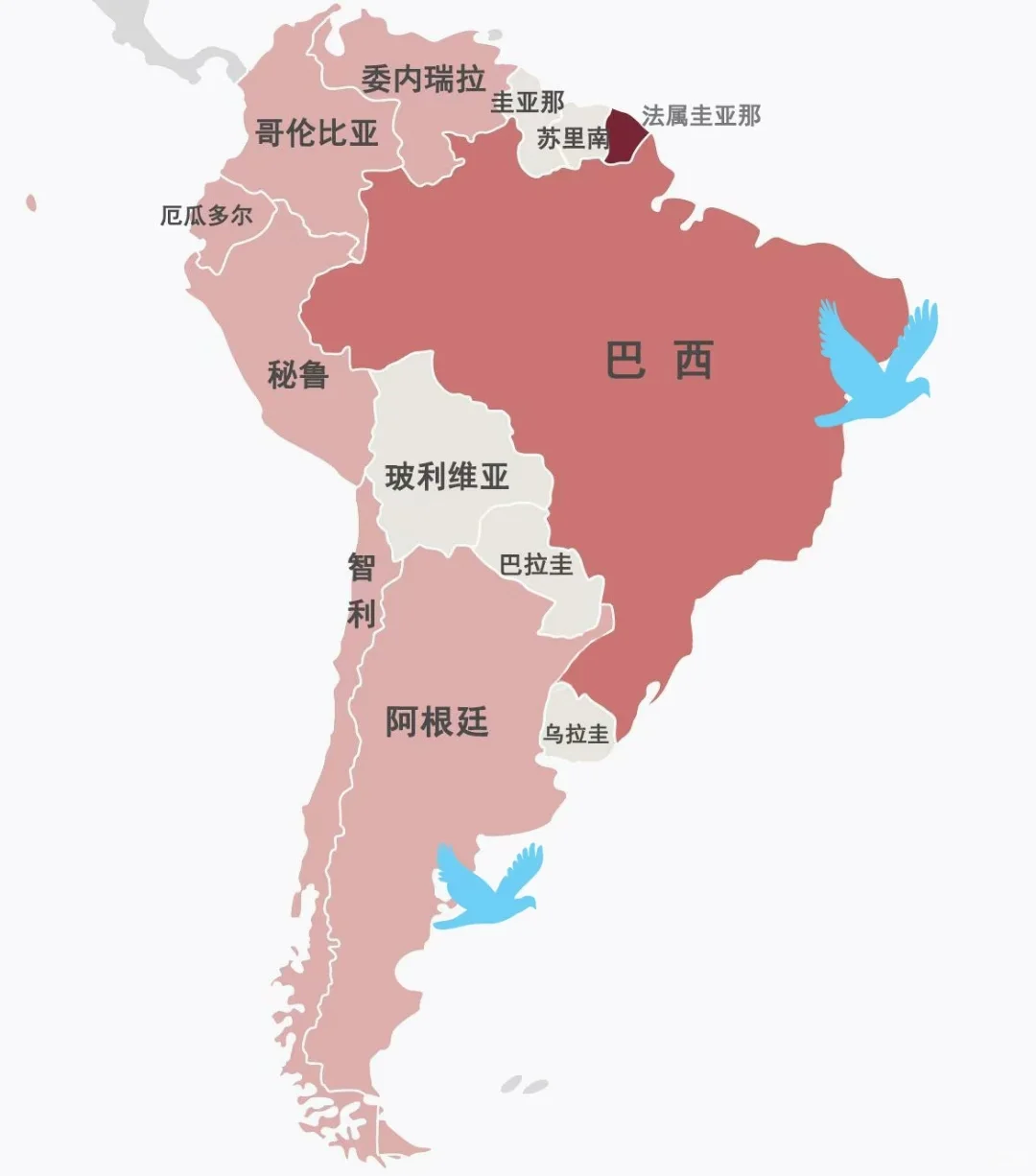 打开南美洲市场