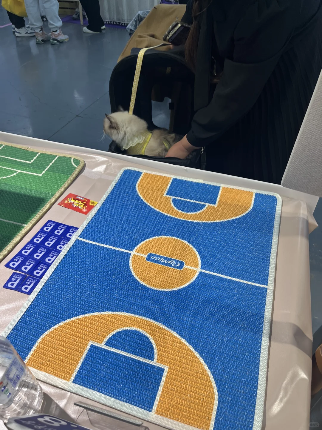 会展第二天 依然火爆?