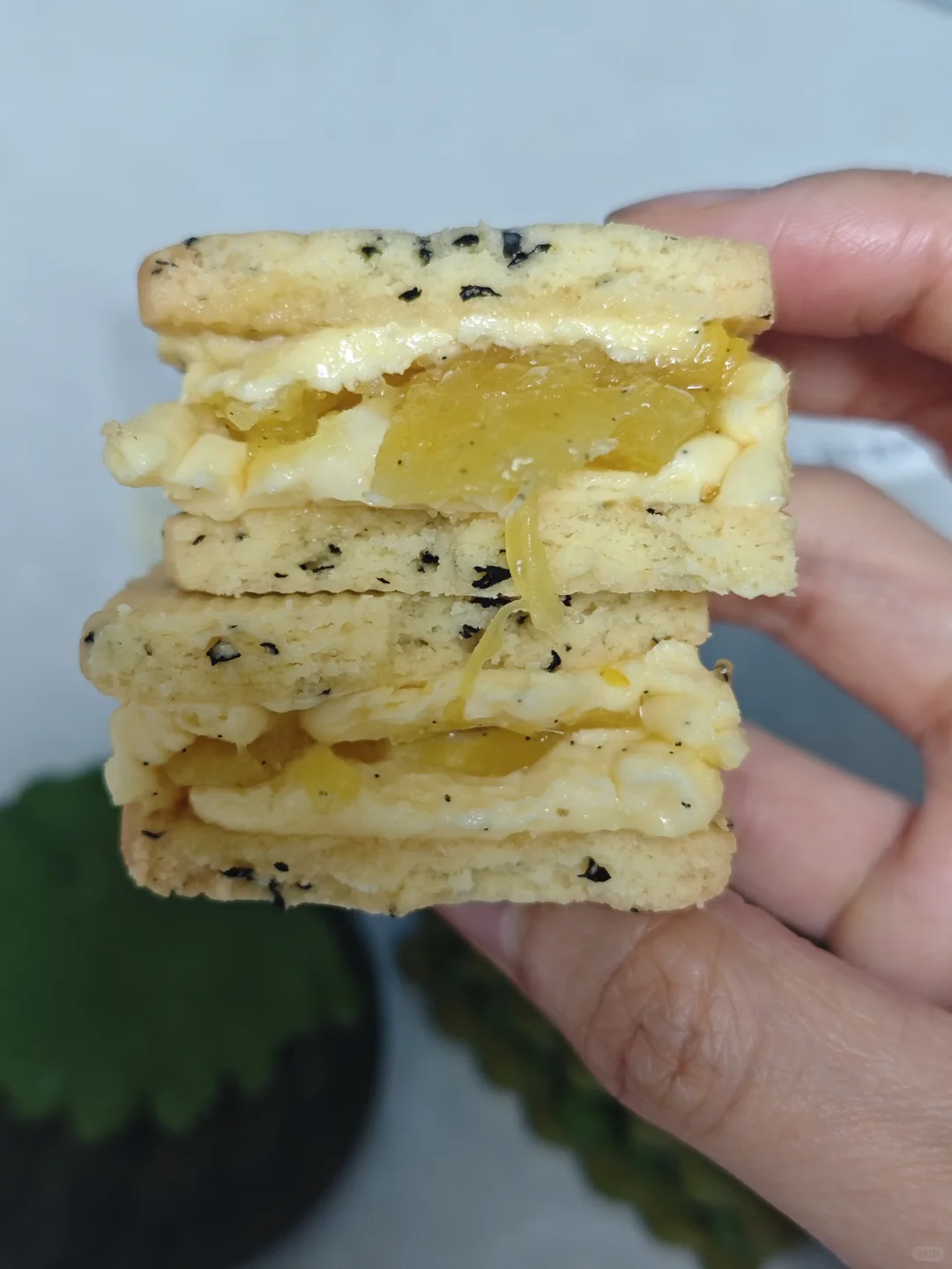 郑州面包节 第二弹～