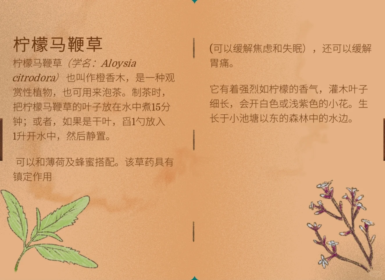 茶话会必需品！谁懂啊！?