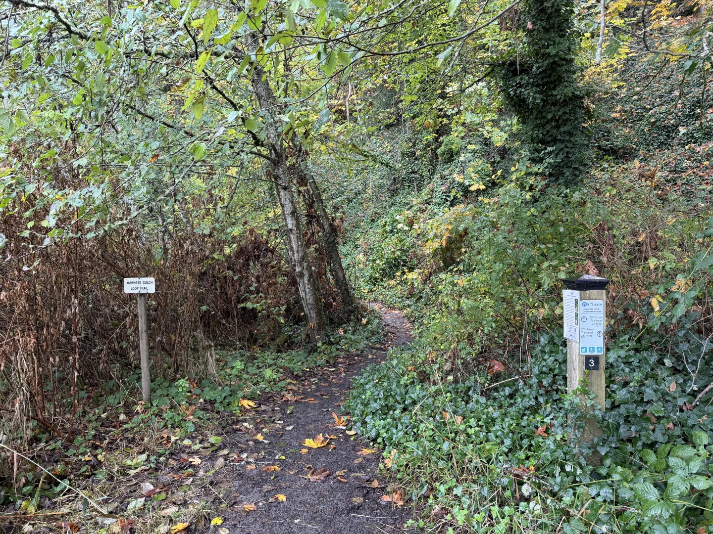 Japenese Gulch Loop Trail