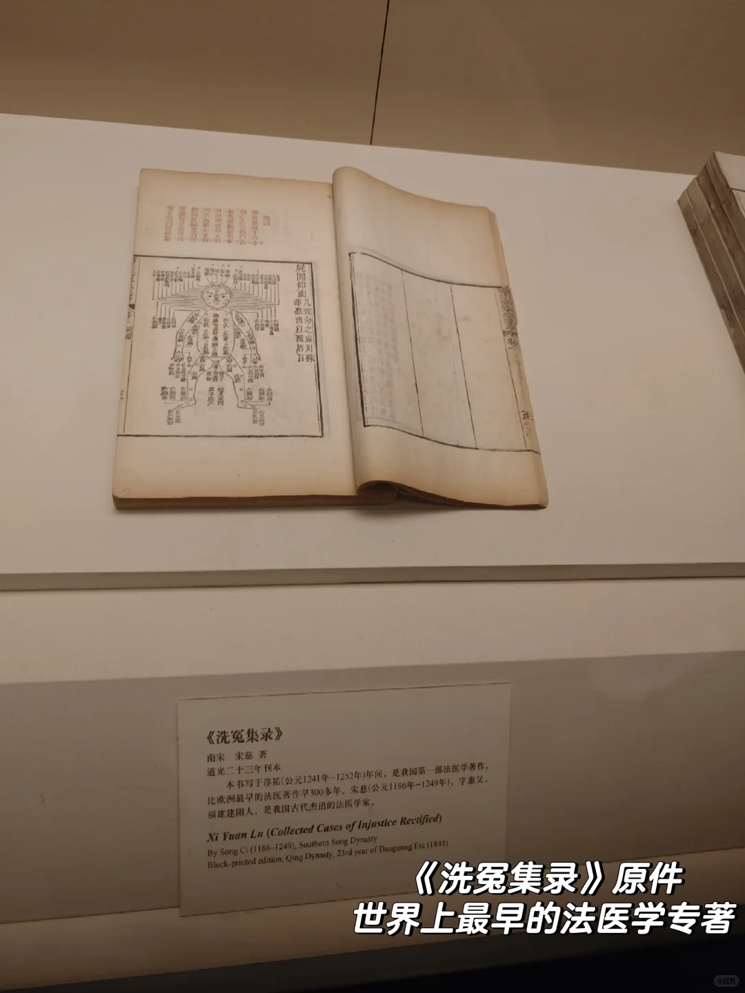 国博攻略