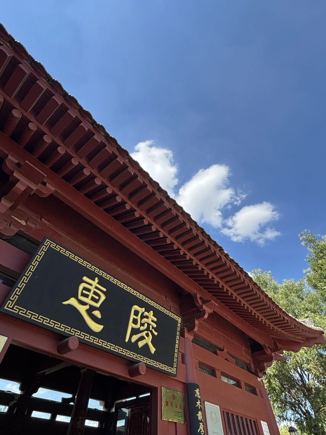西安40的夏天，太热，下墓去也！！