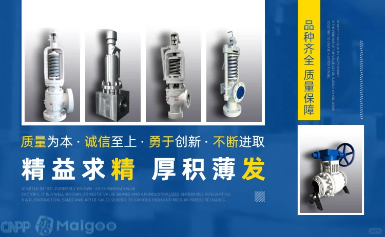 最新安全阀十大品牌名单(Maigoo)
