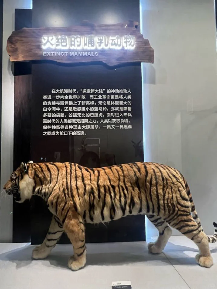 石家庄1h可达,一定要带娃去的自然博物馆!