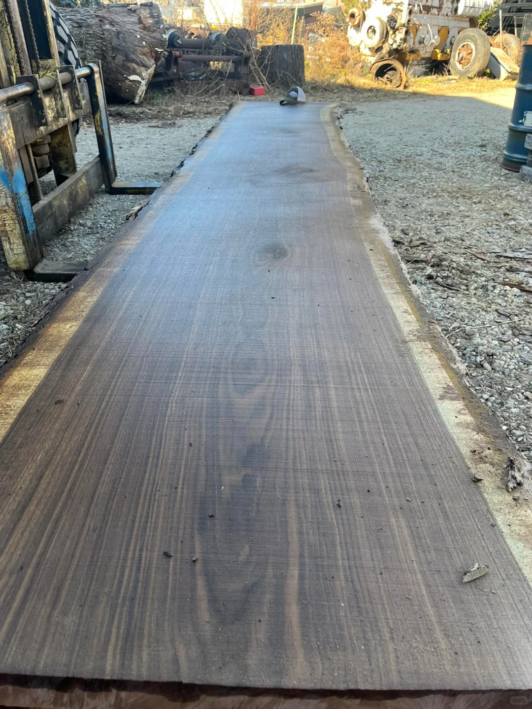 这就是黑胡桃木