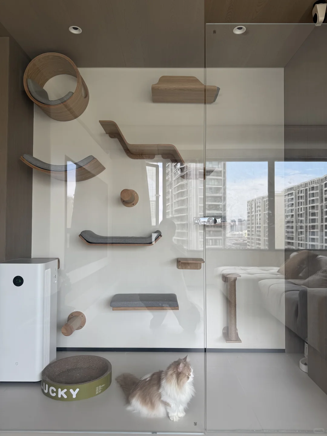 铲屎官福音｜养宠家庭友好漆