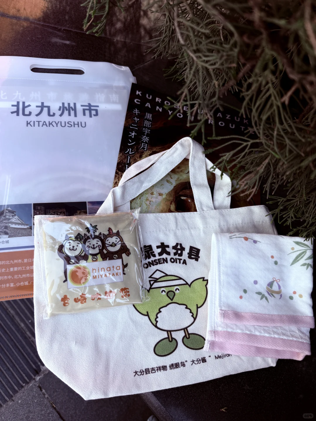 2025大连日本展览会