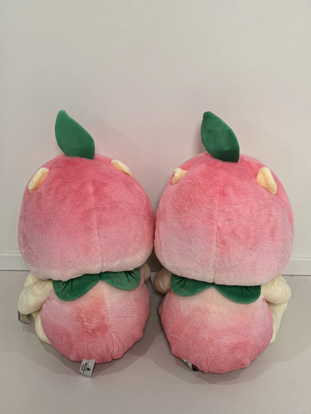 是我们噗噗在面壁思过鸭 蜜桃噗噗无敌可爱