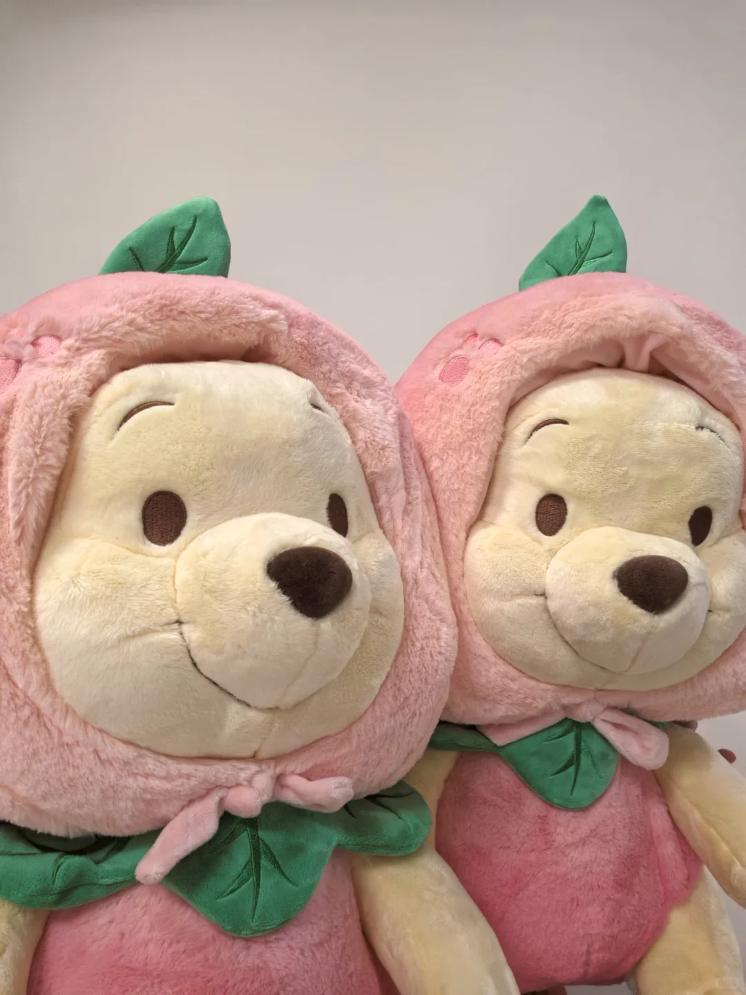 是我们噗噗在面壁思过鸭 蜜桃噗噗无敌可爱