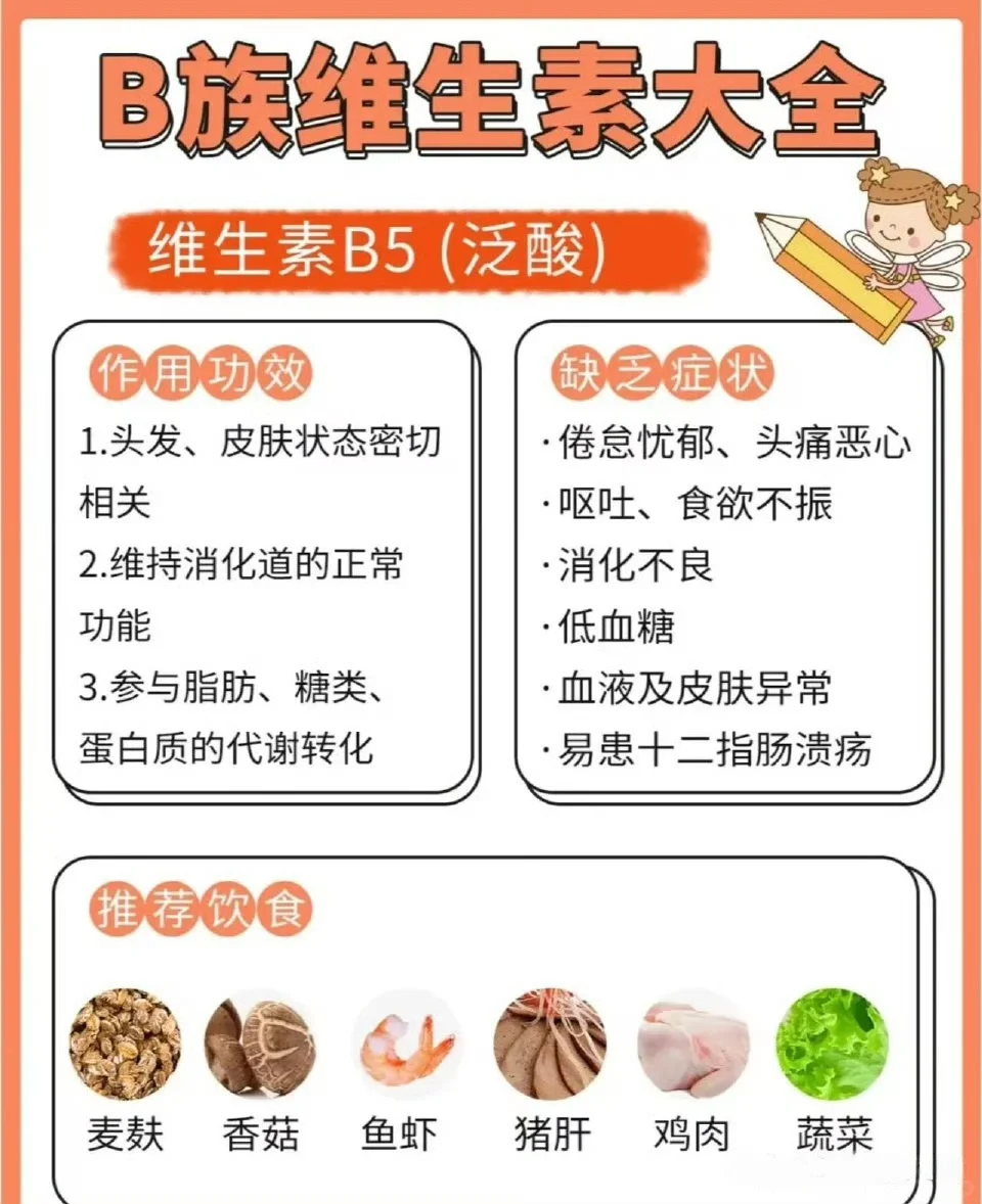 后悔没早懂！B族维生素是身体充电宝⁉️