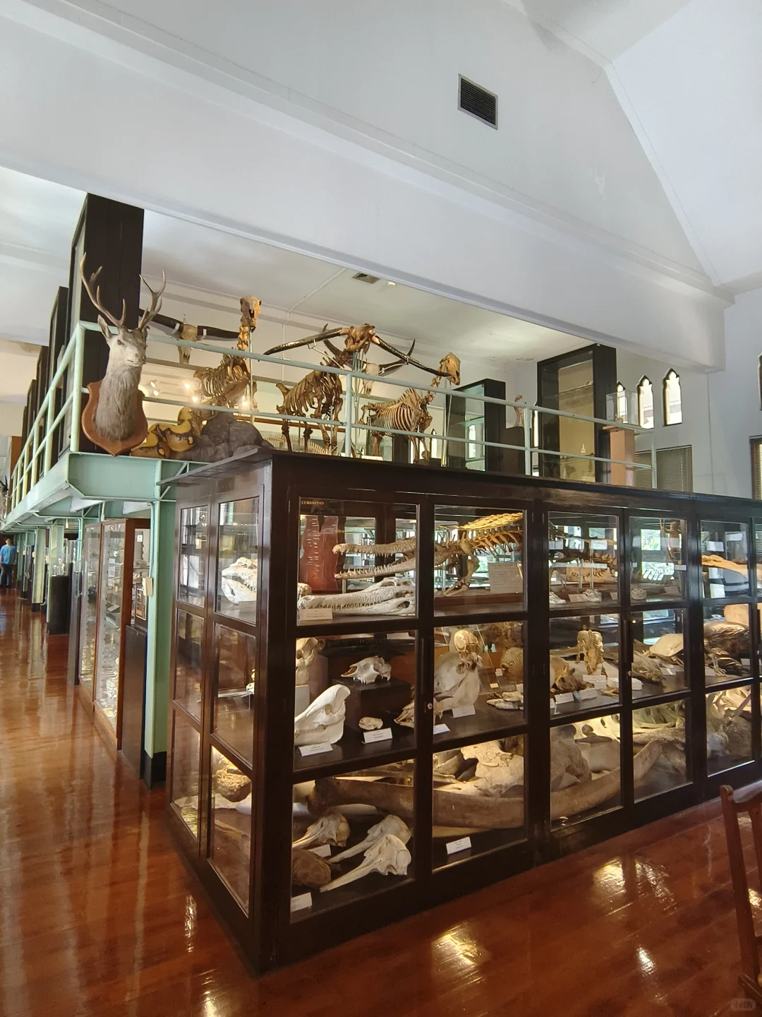 ?? 曼谷三天特种兵旅游小记