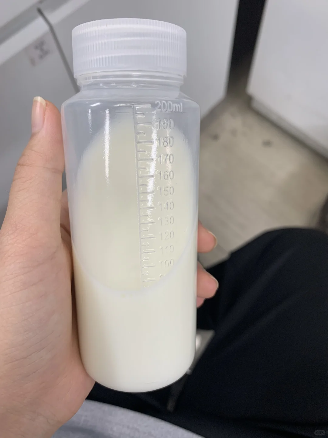 好物分享｜早餐豆浆杯