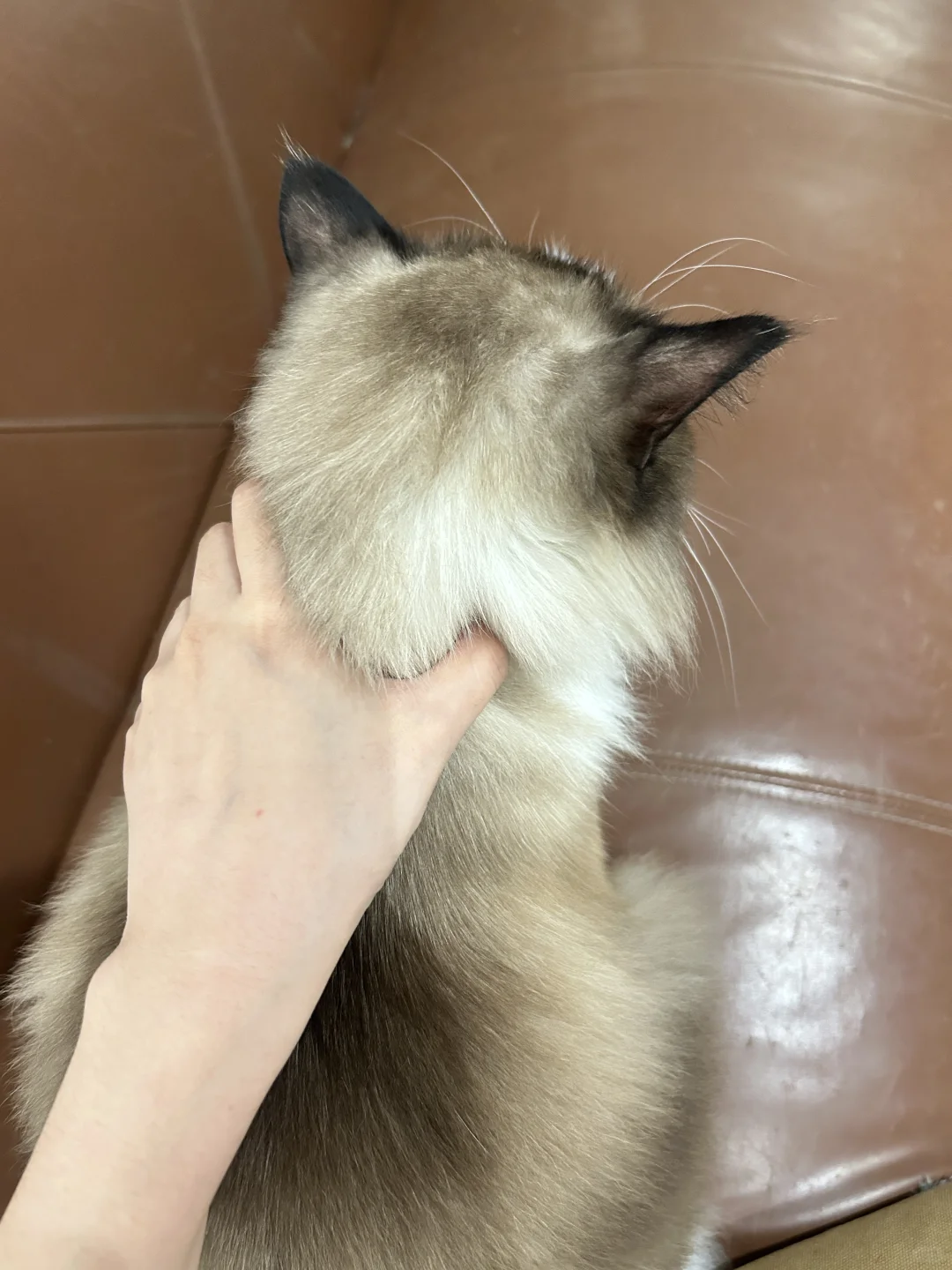 杭州雨天玩火指南?88r烧玻璃?手残逆袭版