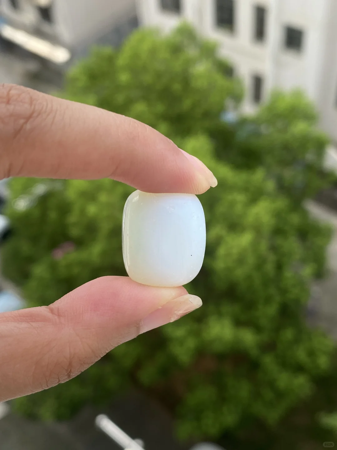 邪修挖宝就是快！！?