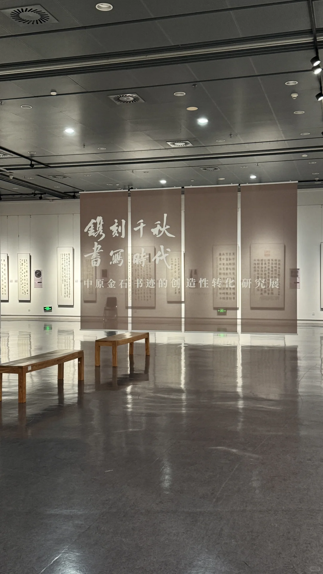 下次展览看点啥