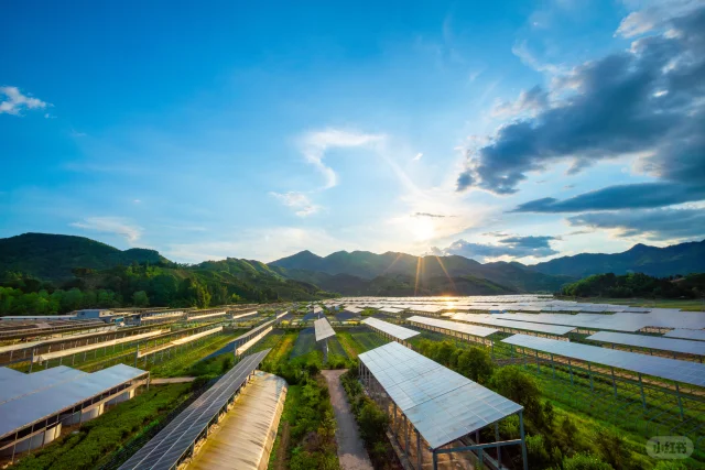 阳光下的光伏发电站