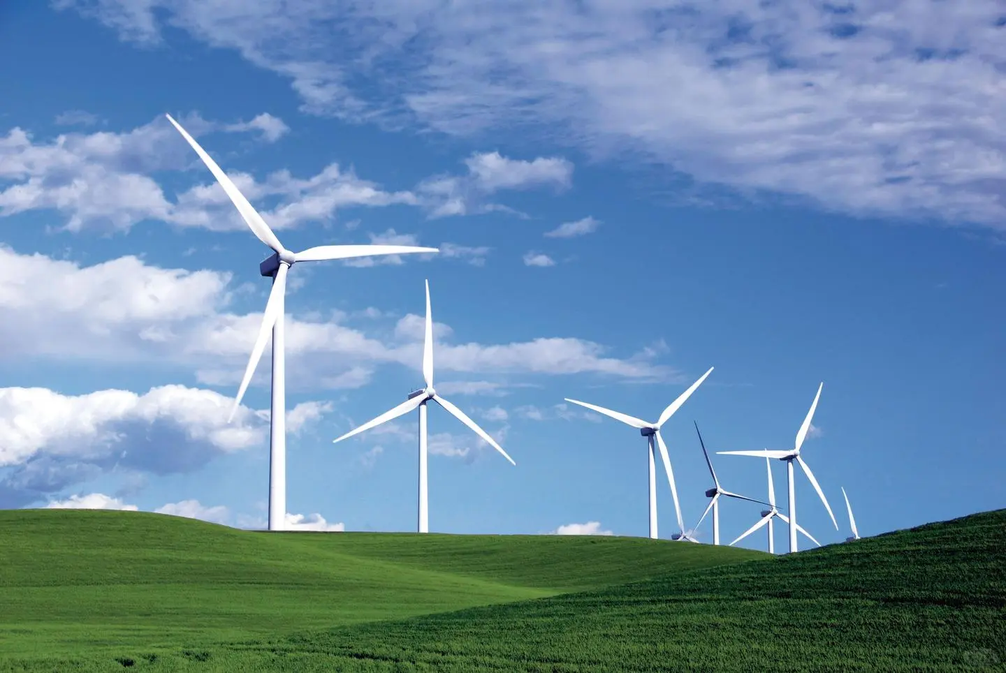 风电下乡：“大风车”如何点亮乡村未来