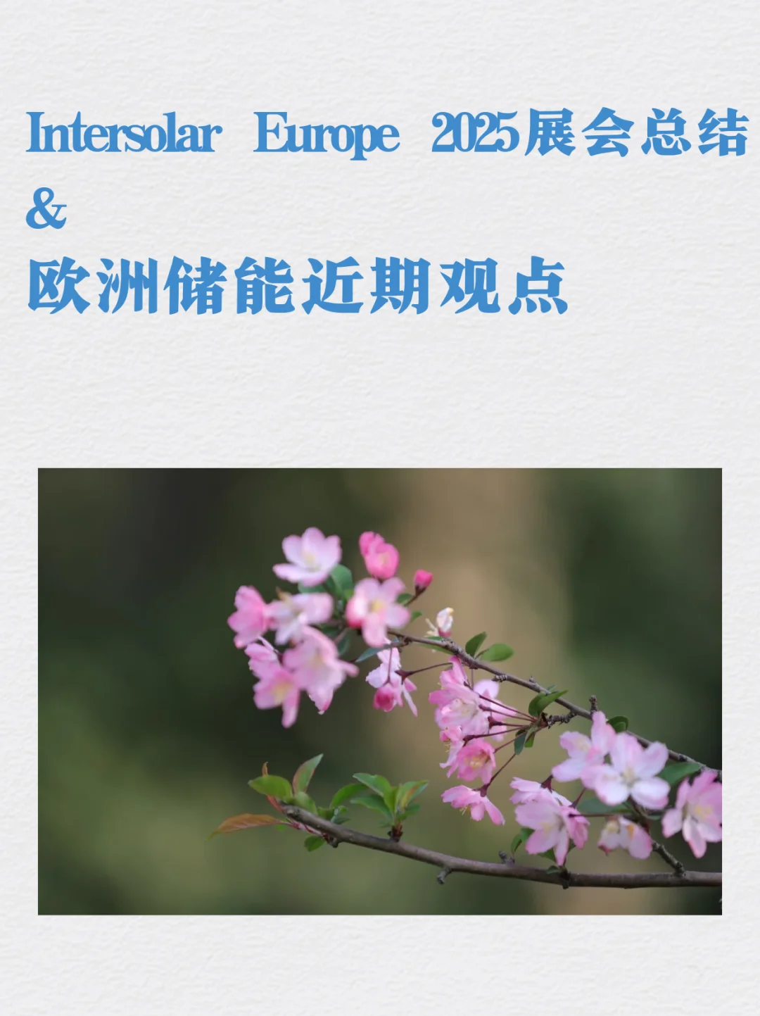 Intersolar Europe 2025展会总结