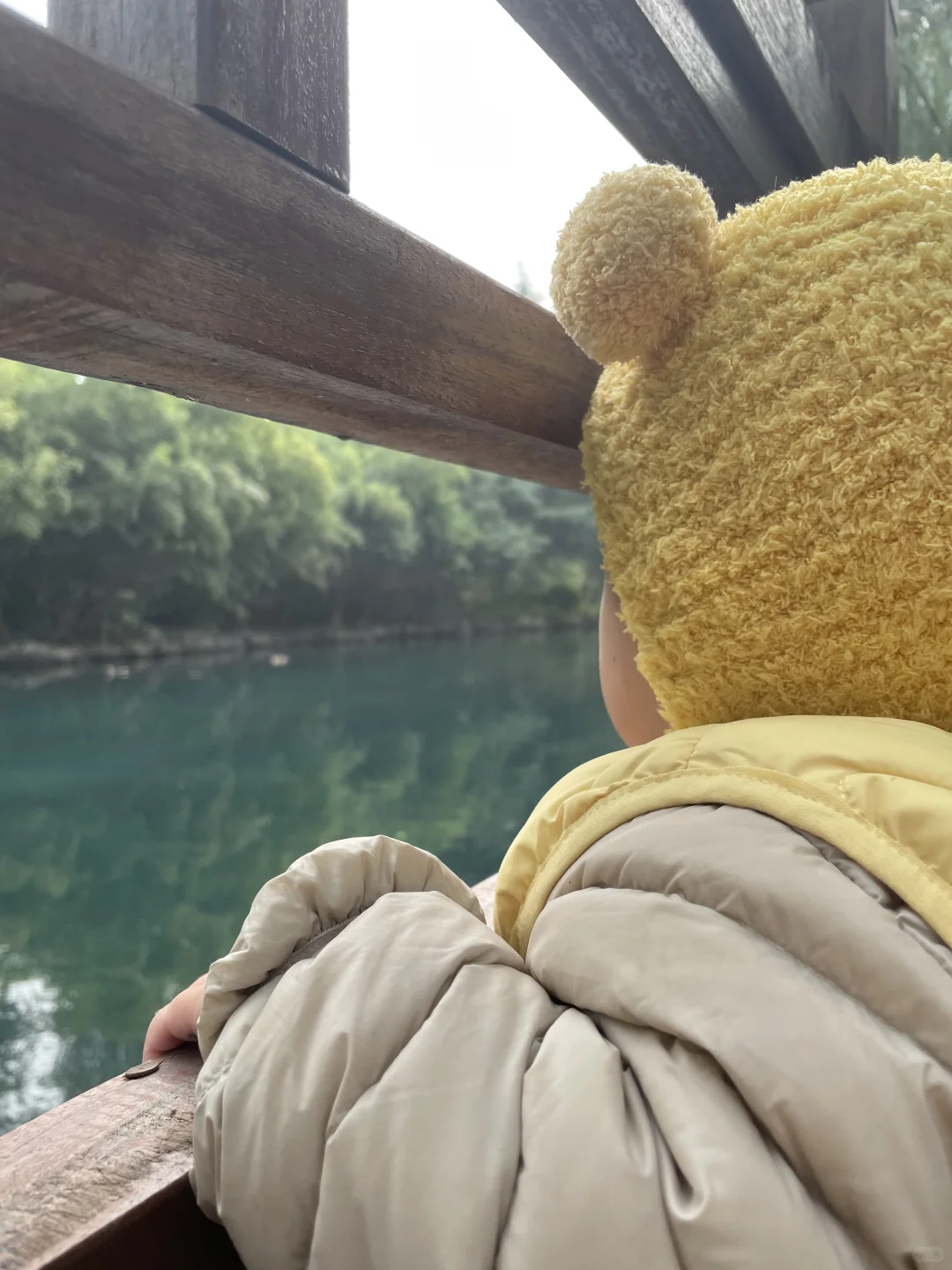 ?济南护城河 | 秋日遛娃的绝佳选择?