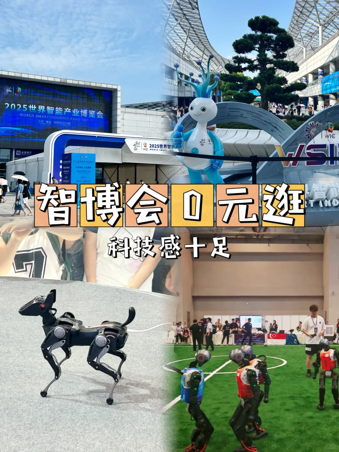 2025重庆智博会|看机器人拳击?免费涨知识