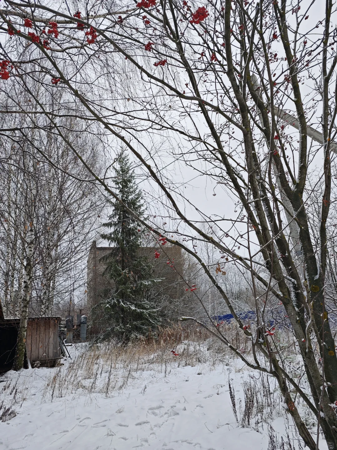 俄罗斯俄语翻译设备安装调试出差