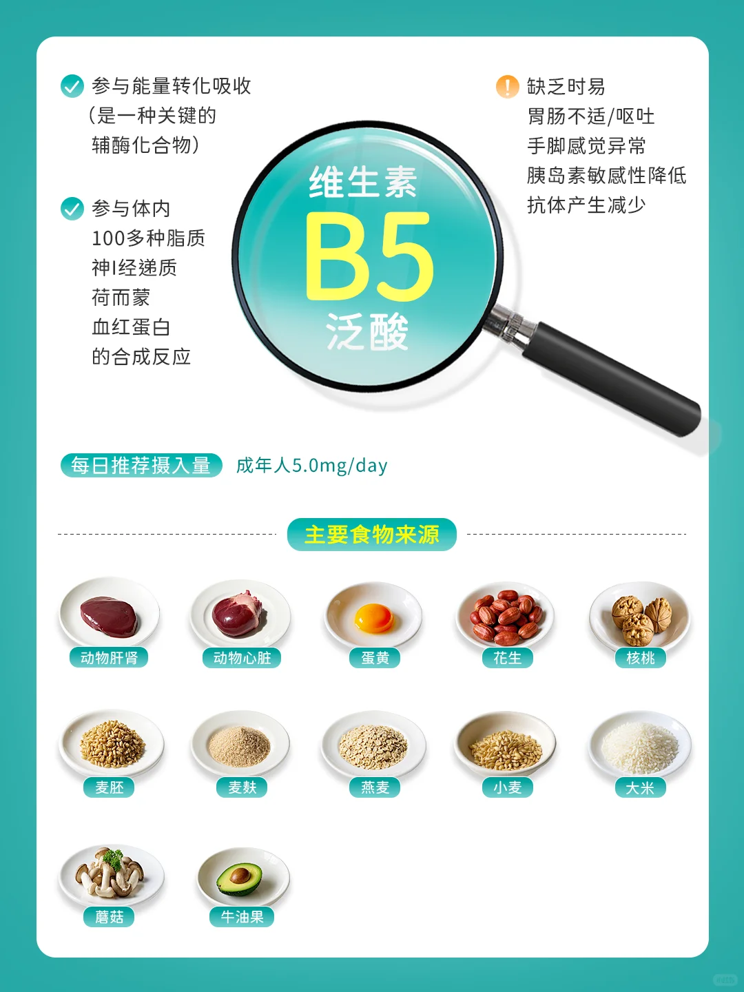 补充维生素B族：吃对食物才能打出完美配合