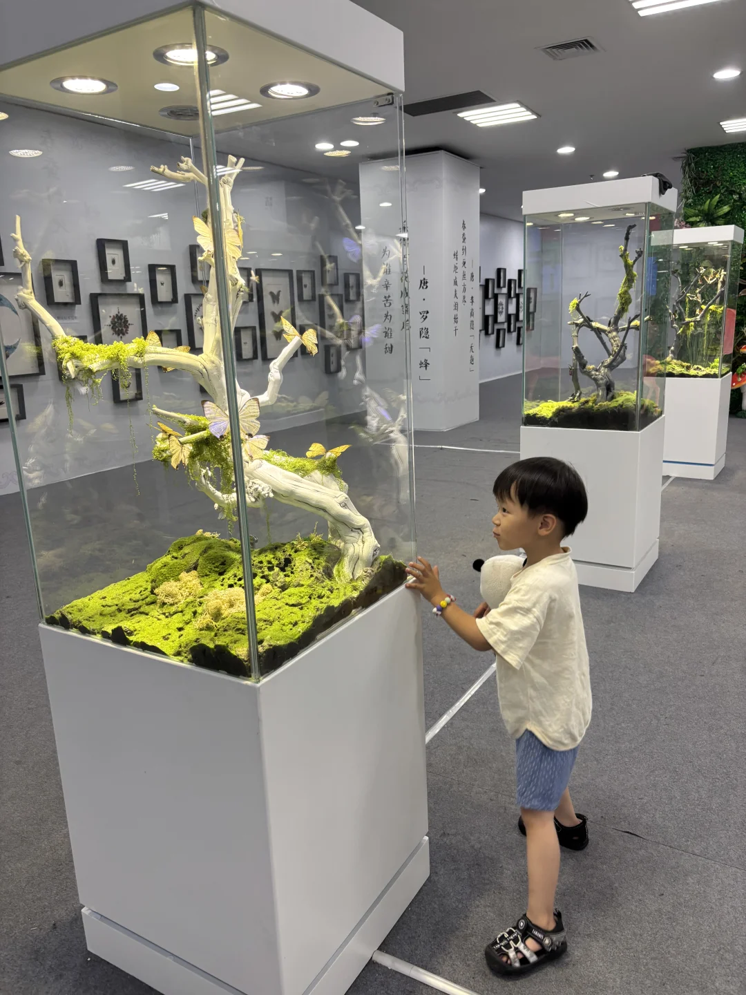 带三岁小朋友来参观石家庄活体昆虫博物馆啦