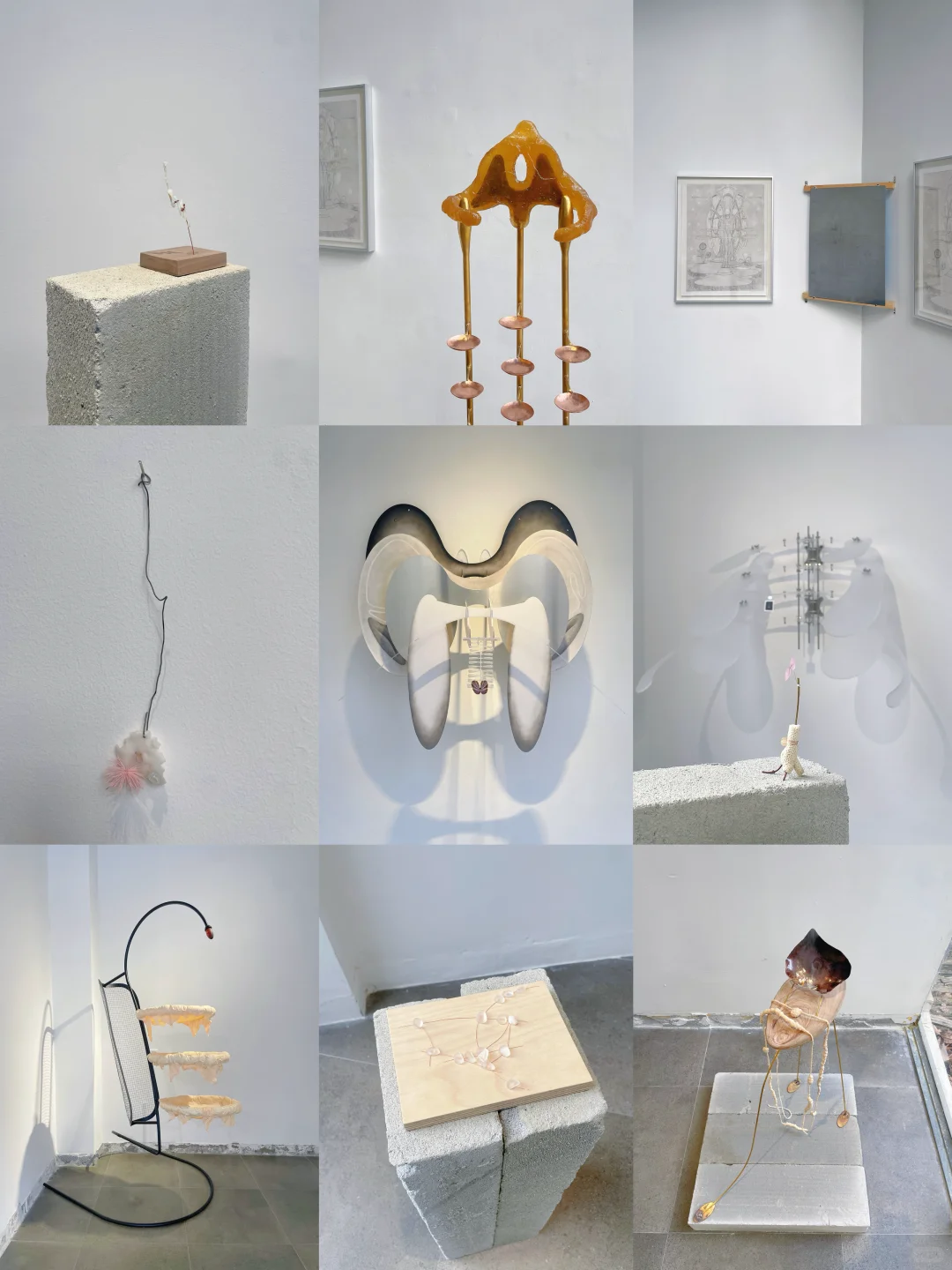 免费新展!蛇口3小时看了3个超有艺术感的展