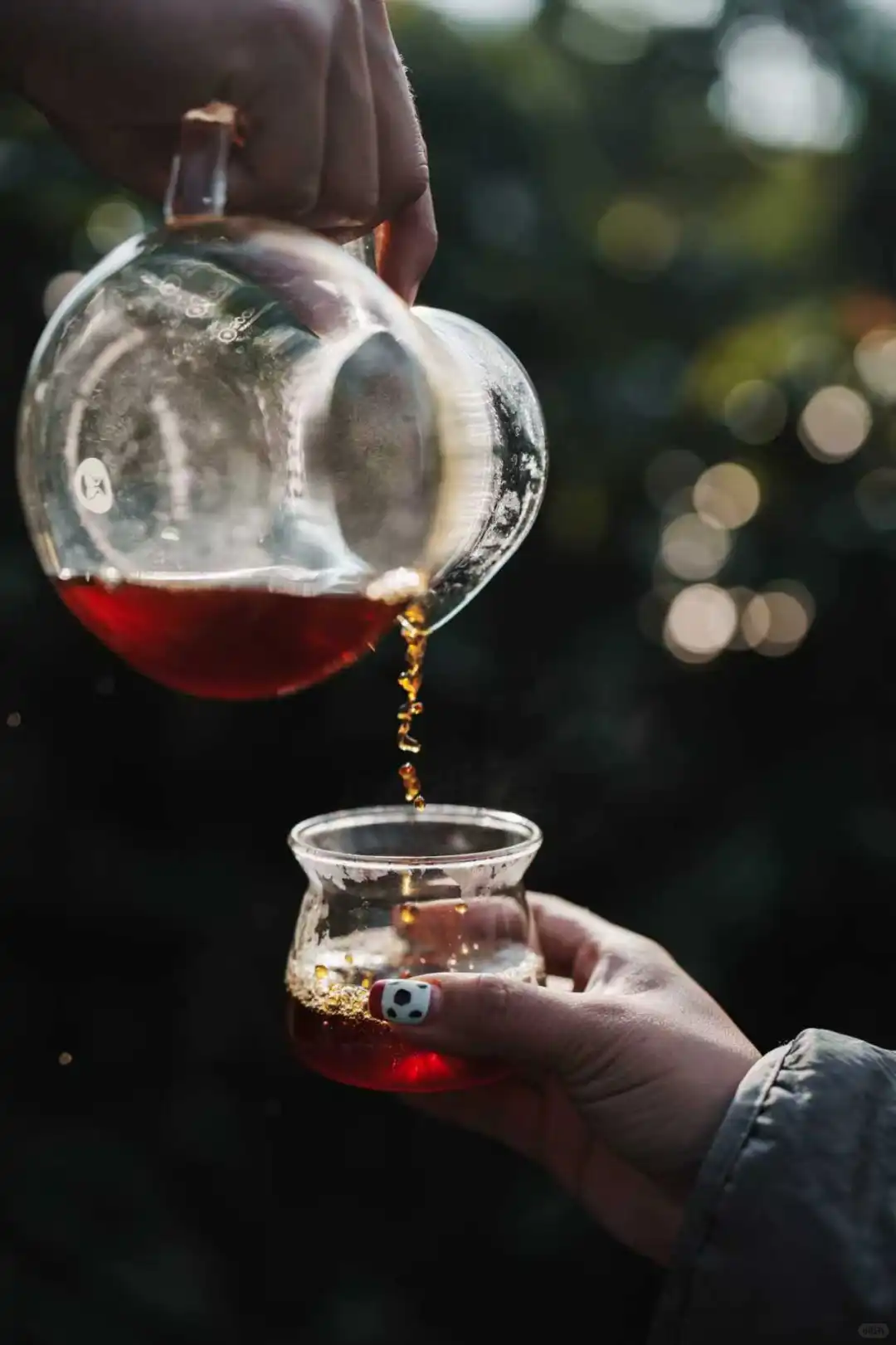 炬点生豆加工处理课