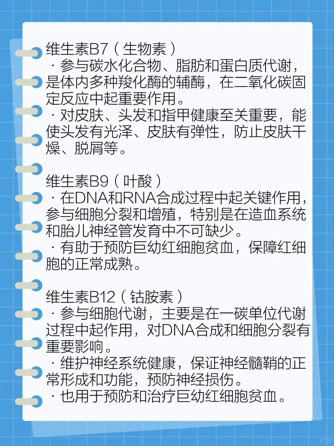 ? b族维生素对人体到底有什么好处