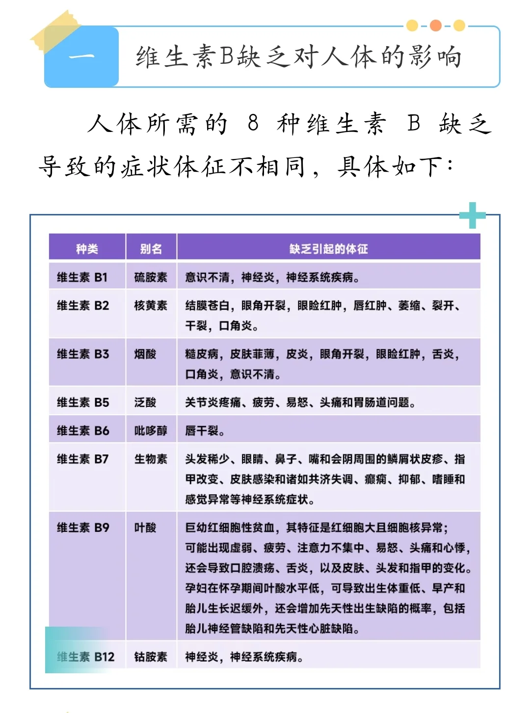 B族维生素全解析