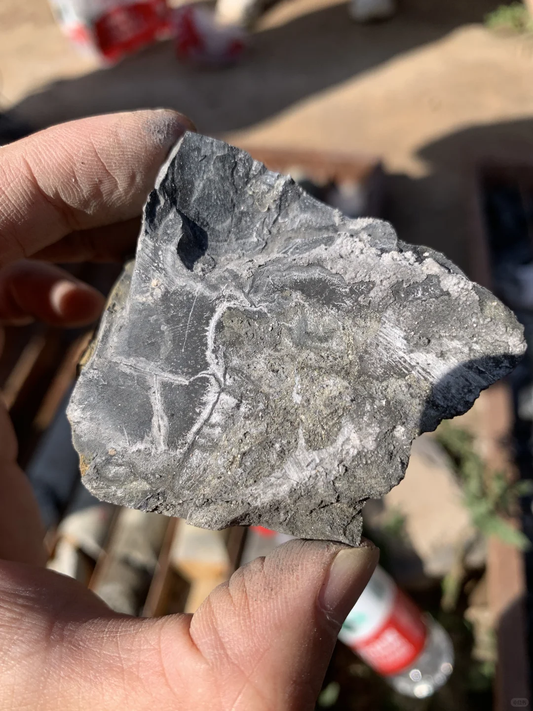 啥？黑色的铝土矿？