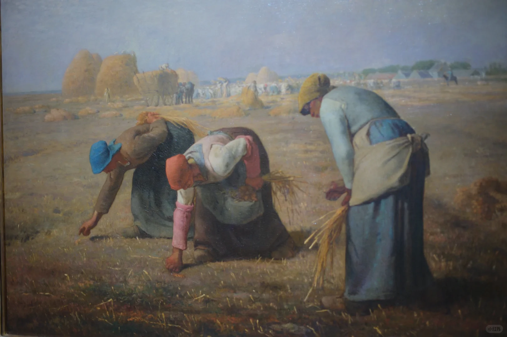 关于我花了120在浦美看了奥赛展这件事